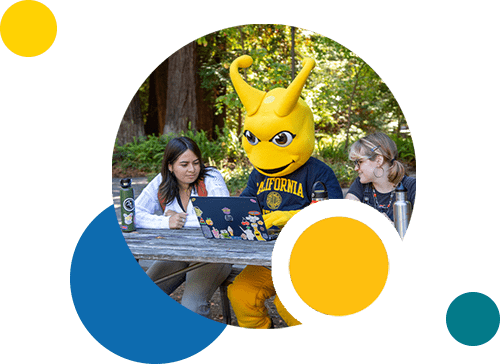 Two students with the UCSC mascot sitting at a picnic table using a computer.